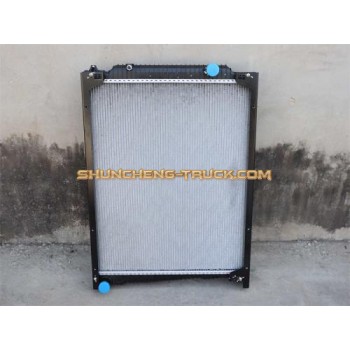 Радиатор охлаждения SHAANXI M3000 2020 пластмассовый (оригинал)