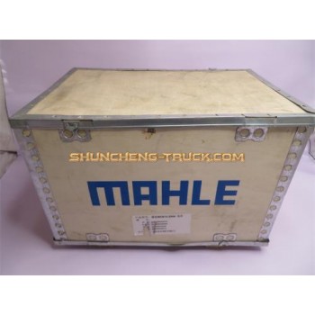 Поршневая группа WD615E2-4A MAHLE