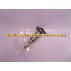 Плунжерная пара SINOTRUK D12 X922A-010